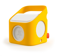 Bumblebee Yellow
